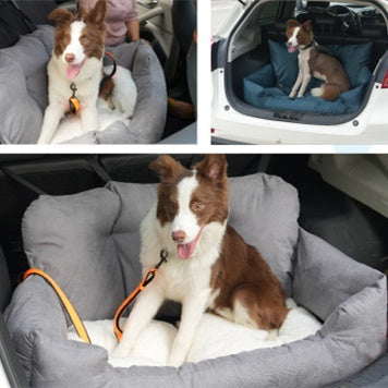 Why your dog slides forward when you brake — and what actually stops it