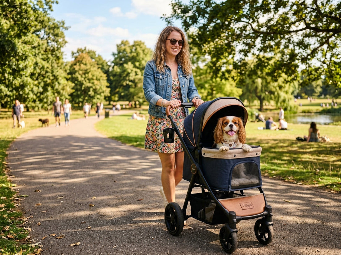 Does Your Dog Actually Need a Stroller?