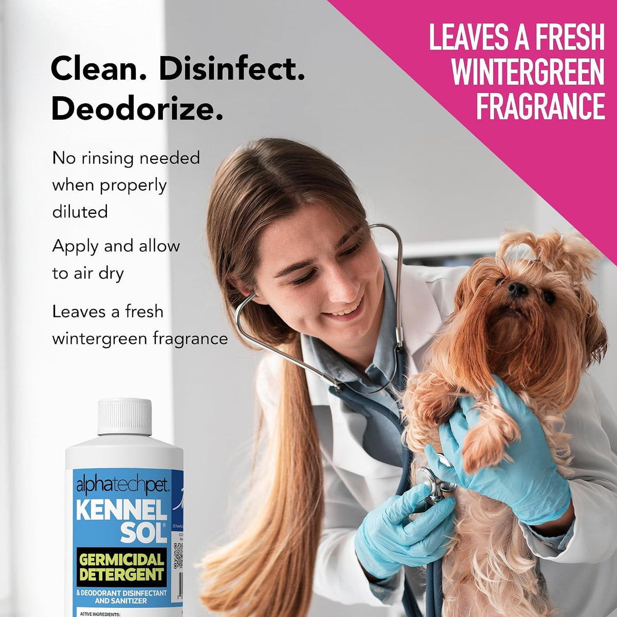 KennelSol Kennel & Crate Disinfectant (16 oz)