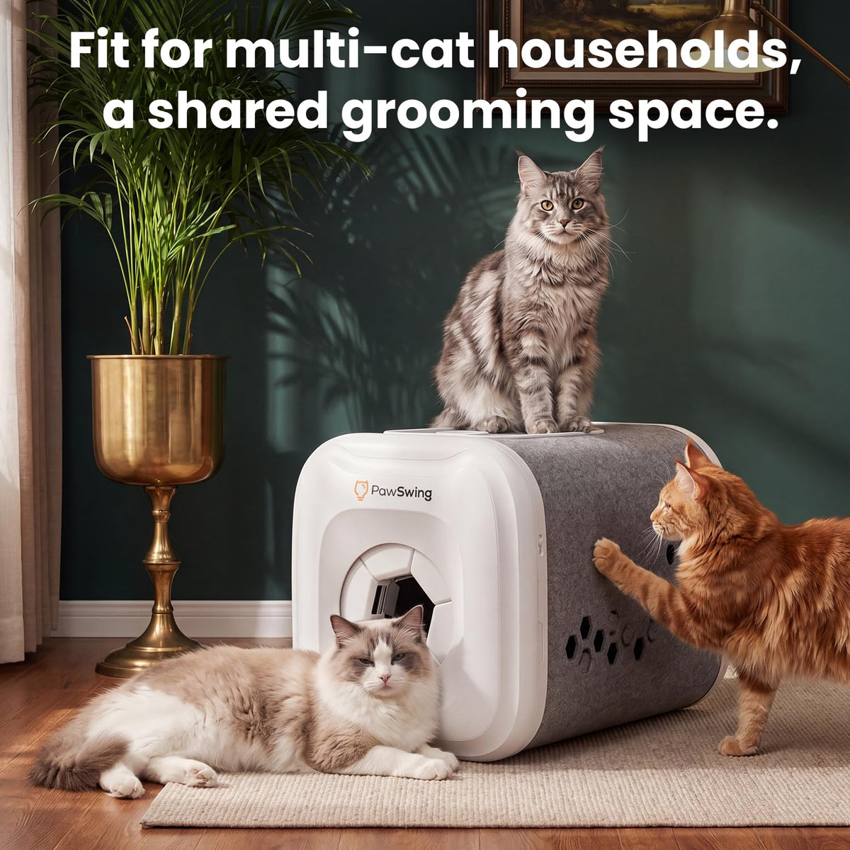 Cat Self-Grooming Box with 360° Fur Collector