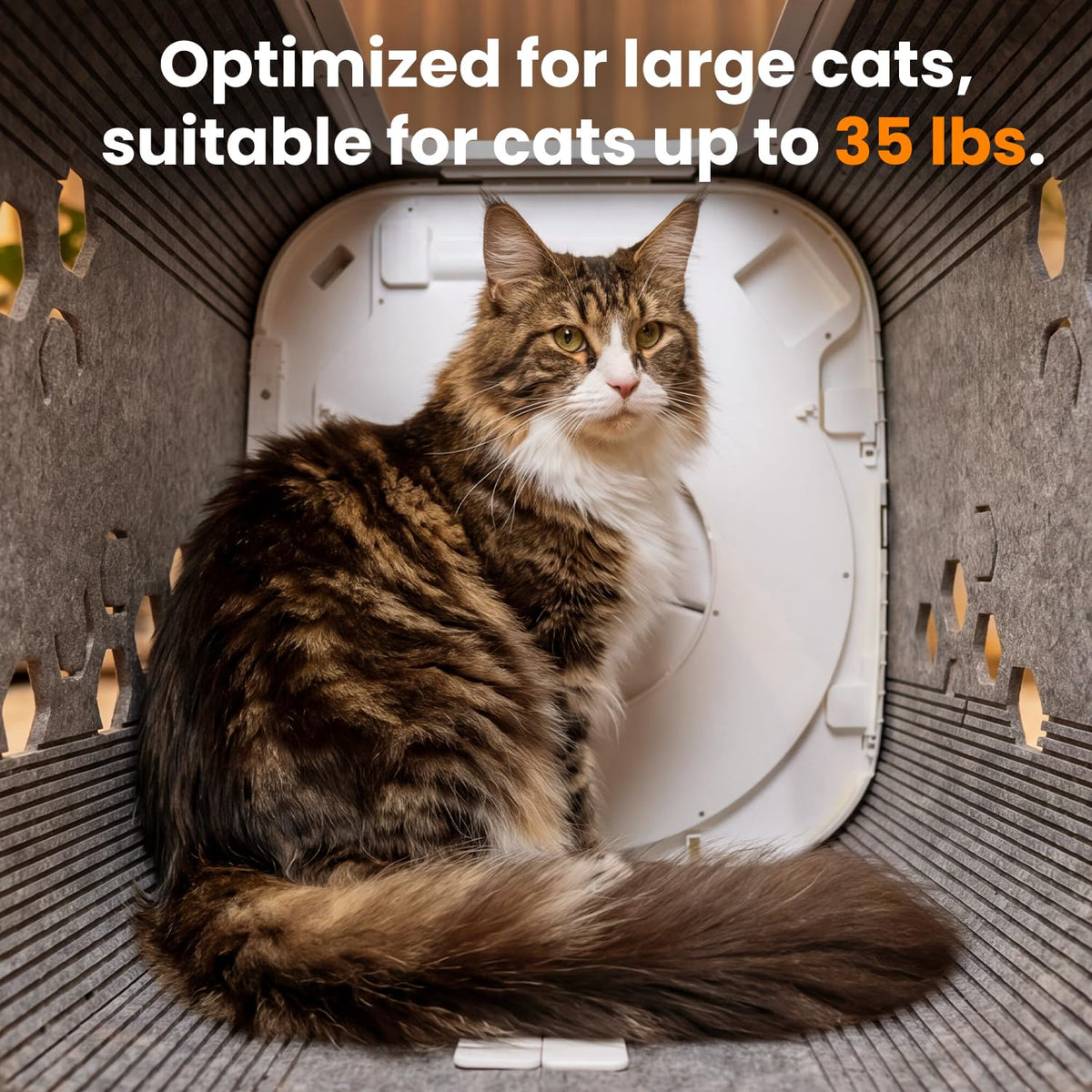 Cat Self-Grooming Box with 360° Fur Collector