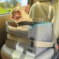 Foldable Small Dog Booster Car Seat with Tether
