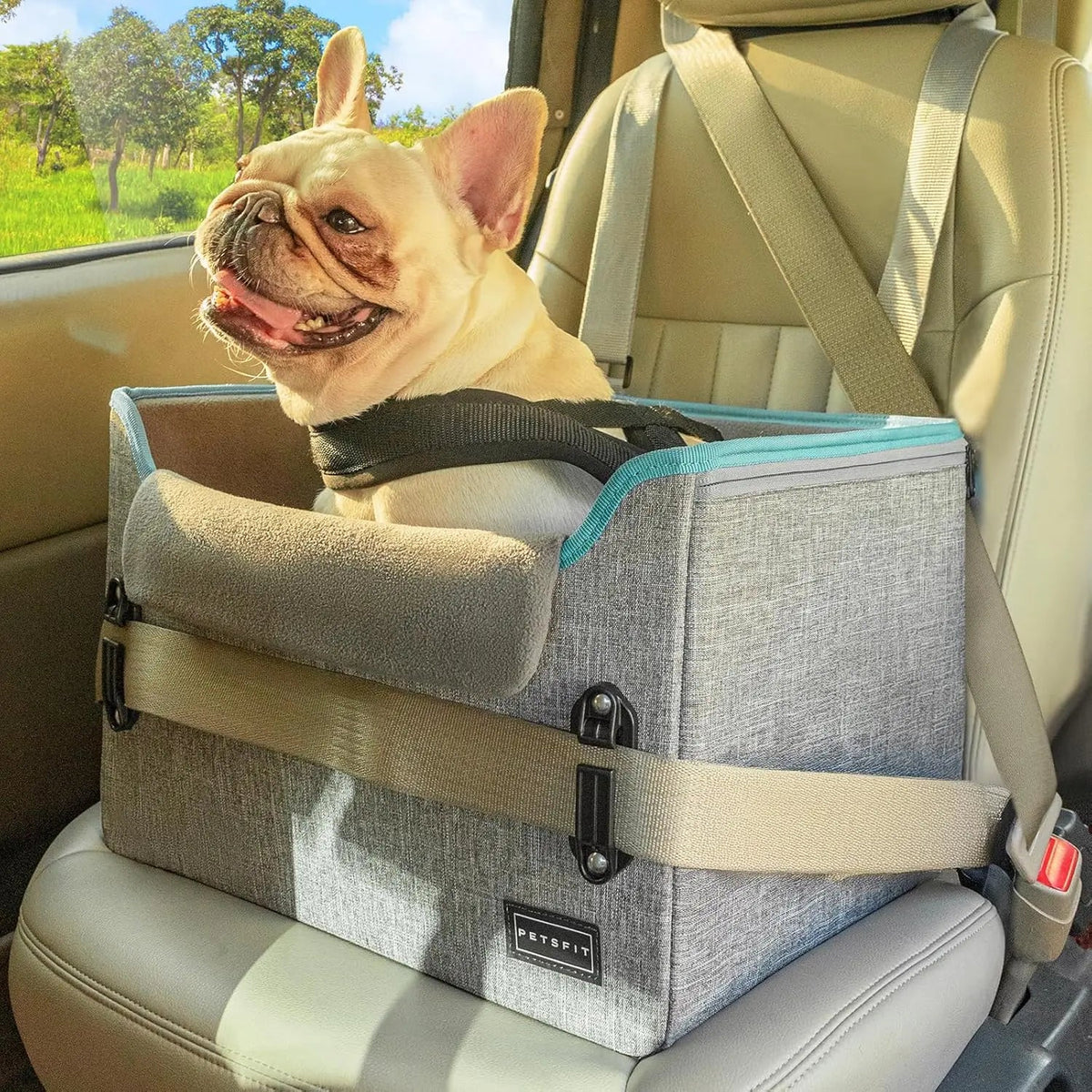 Foldable Small Dog Booster Car Seat with Tether