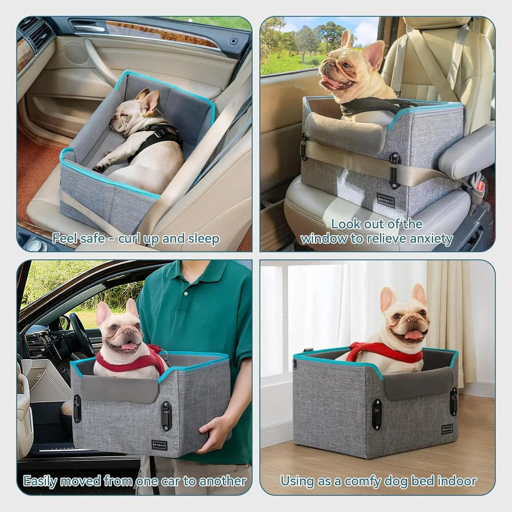 Foldable Small Dog Booster Car Seat with Tether