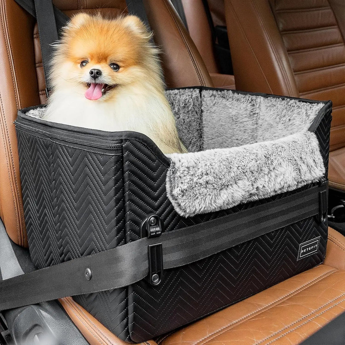 Foldable Small Dog Booster Car Seat with Tether