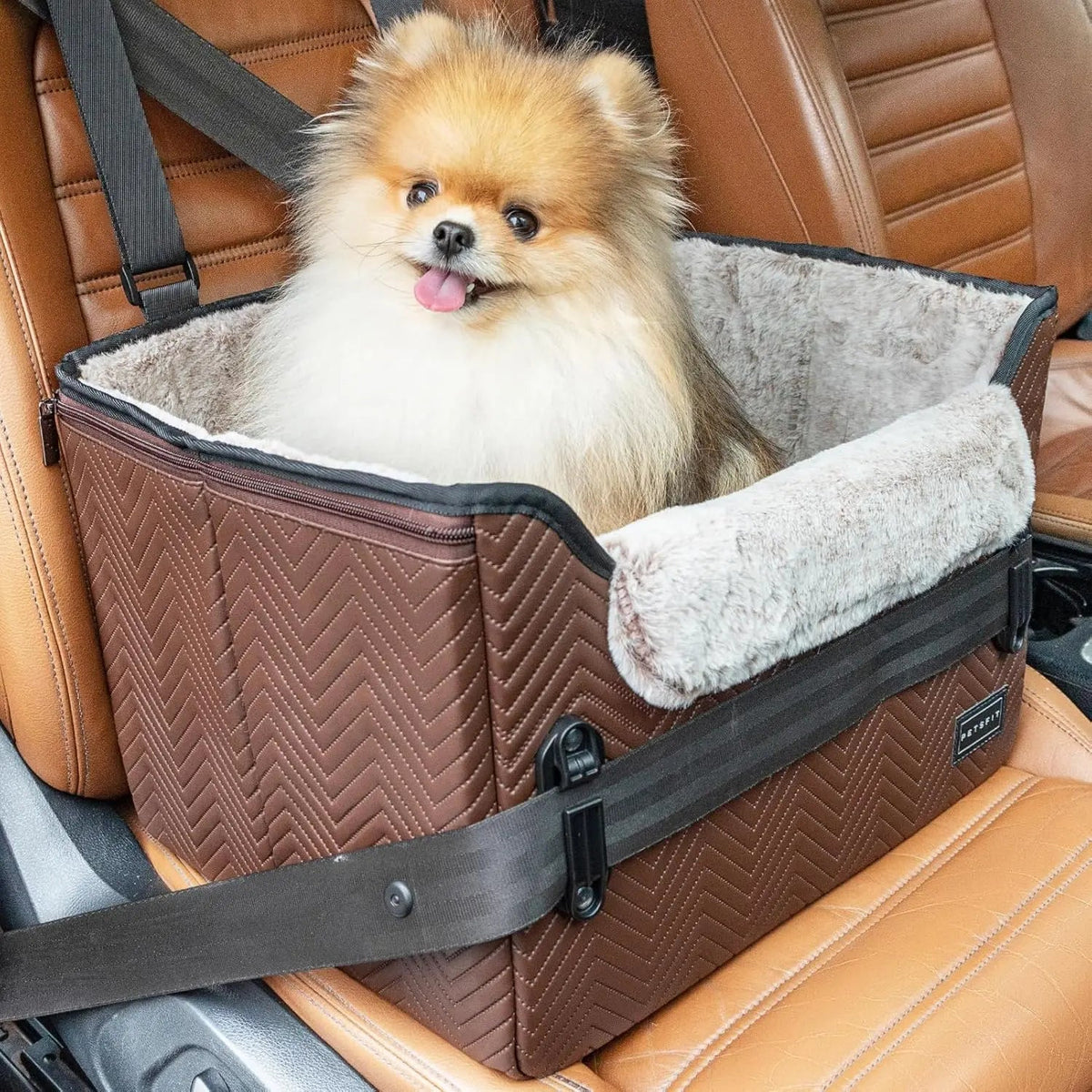 Foldable Small Dog Booster Car Seat with Tether