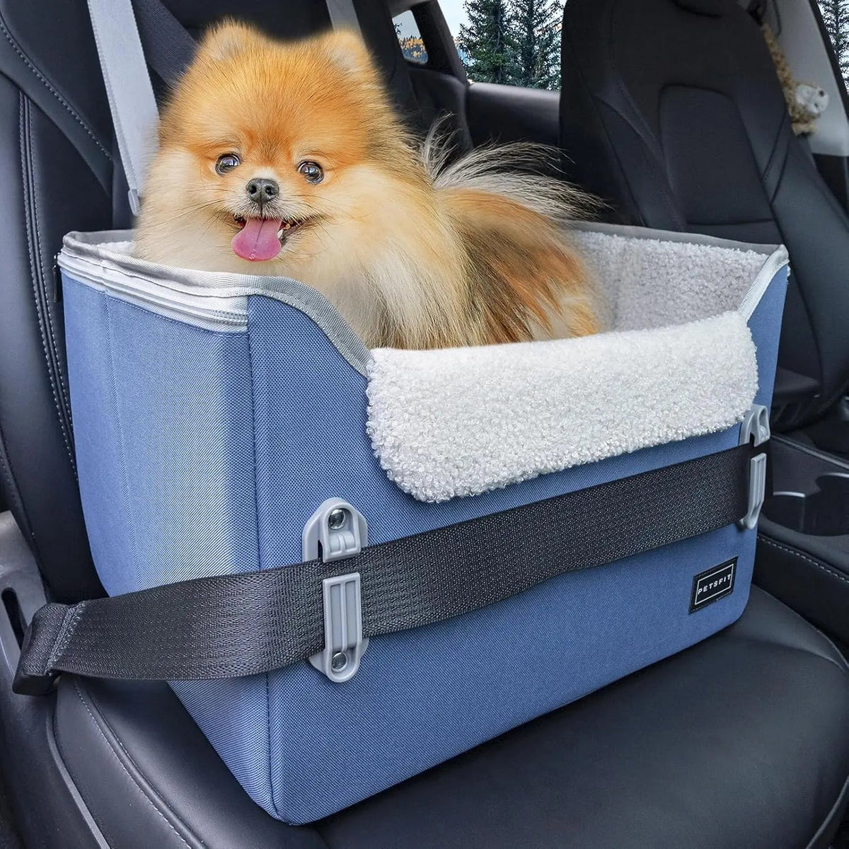 Foldable Small Dog Booster Car Seat with Tether
