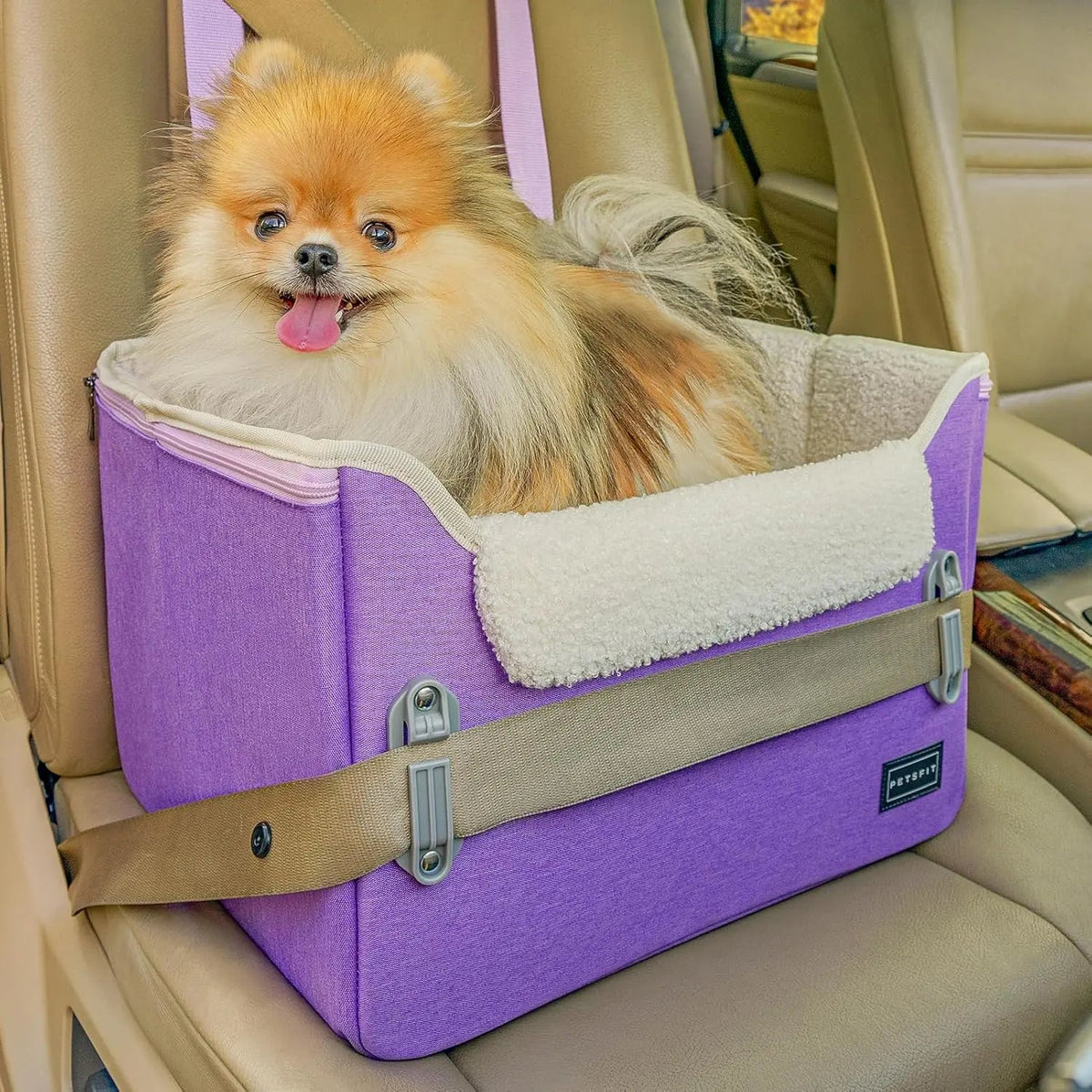 Foldable Small Dog Booster Car Seat with Tether