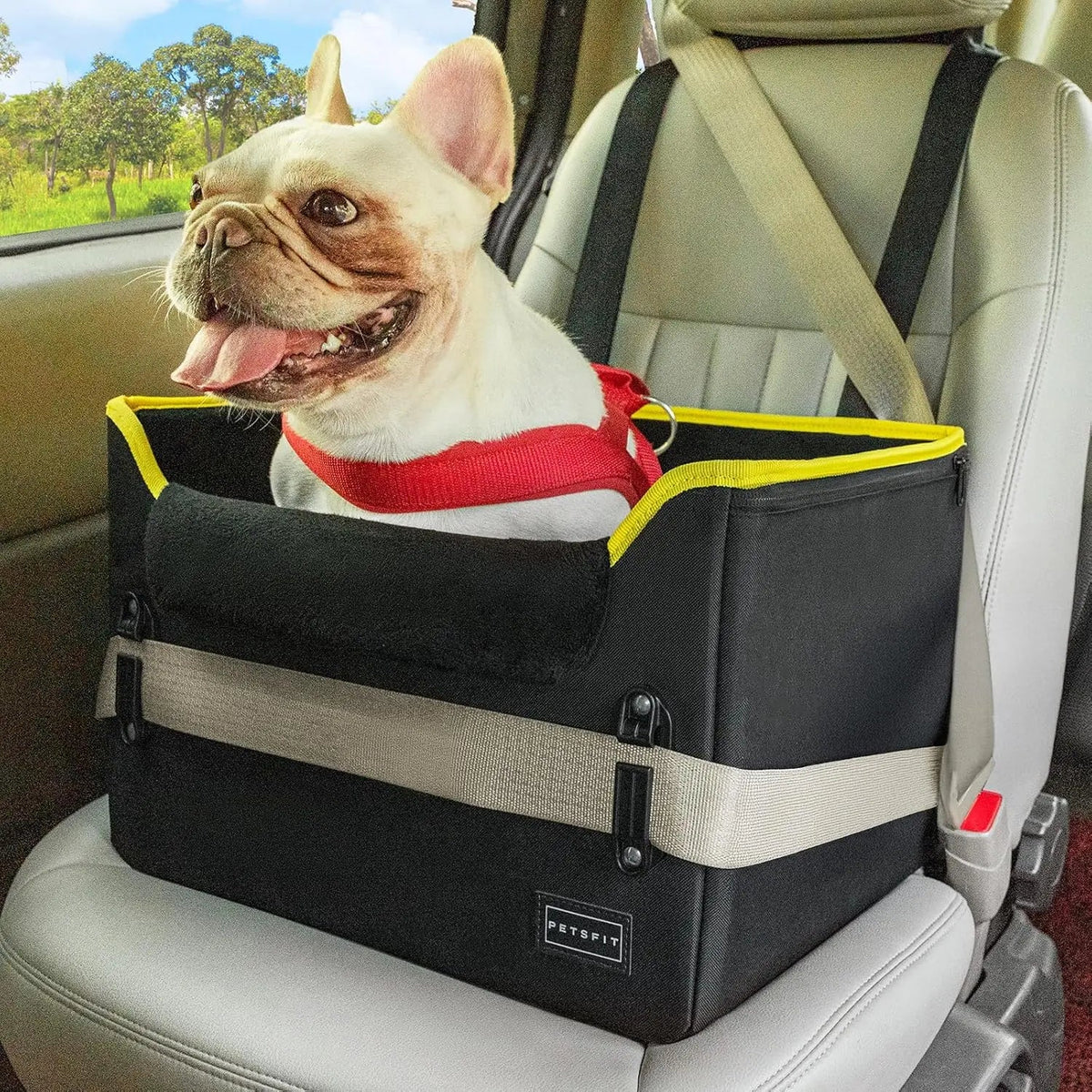 Foldable Small Dog Booster Car Seat with Tether