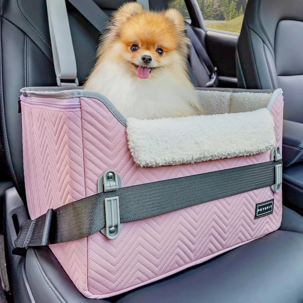 Foldable Small Dog Booster Car Seat with Tether