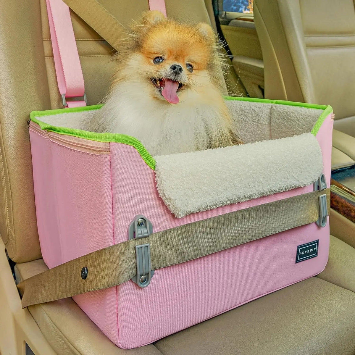 Foldable Small Dog Booster Car Seat with Tether