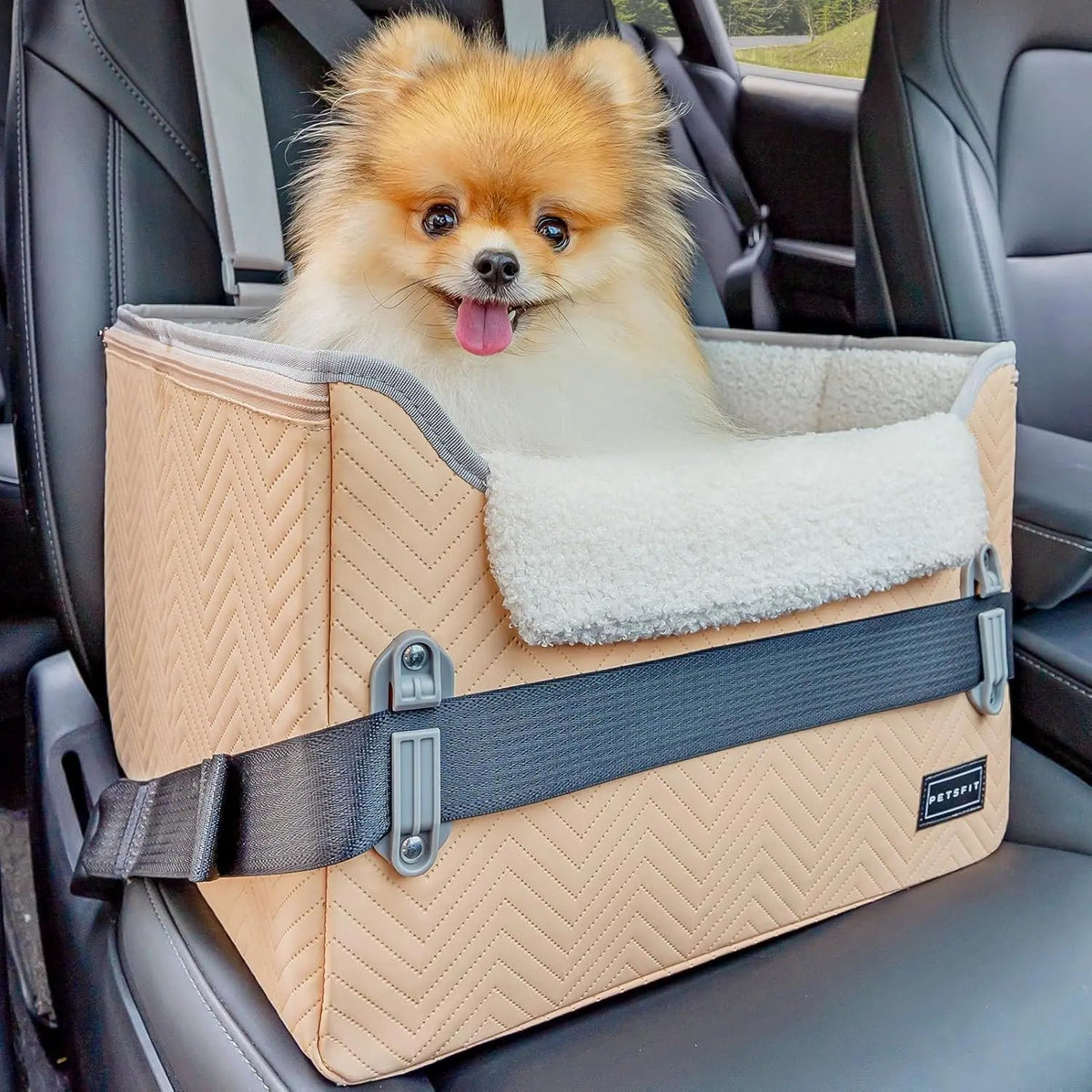 Foldable Small Dog Booster Car Seat with Tether