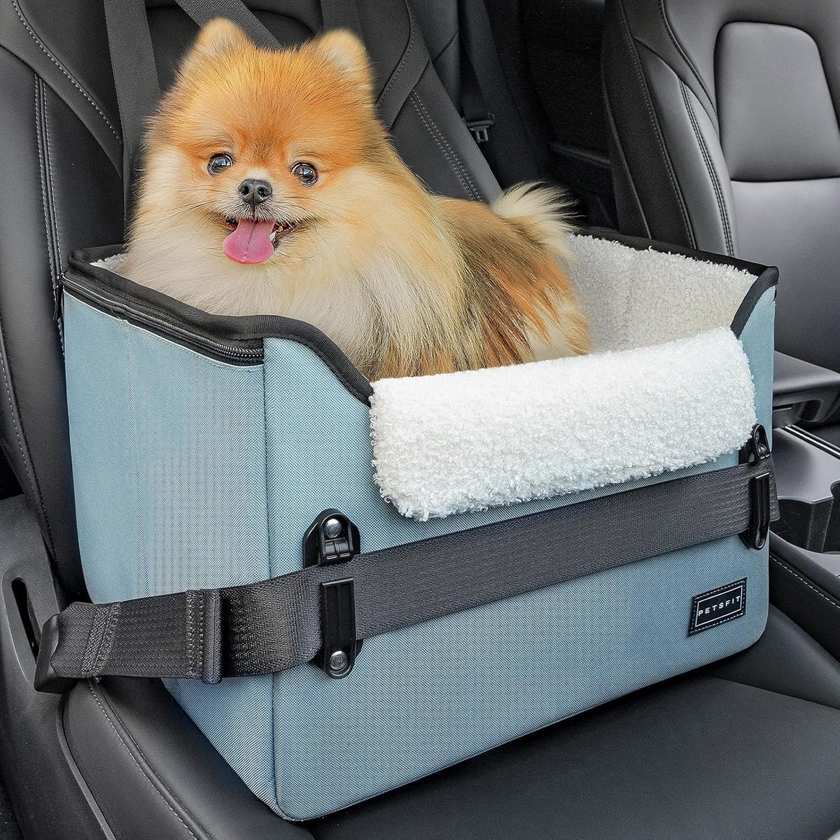 Foldable Small Dog Booster Car Seat with Tether