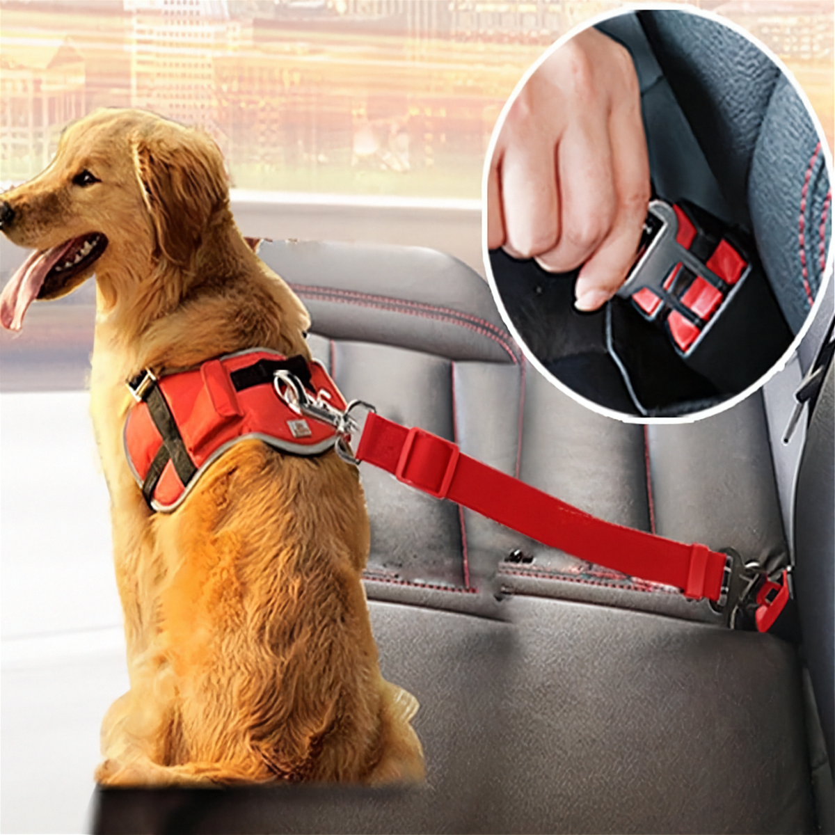 Adjustable dog car seat belt tether clipped to a harness in a car