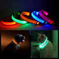 LED Safety Collar for Dogs & Cats