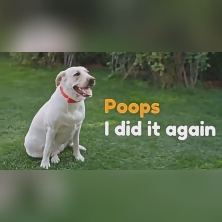 Claw Pooper Scooper with Bag Dispenser