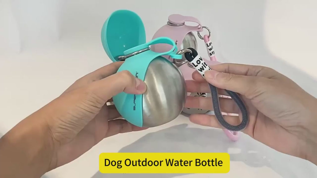 Stainless Steel Travel Water Bottle (285 ml)