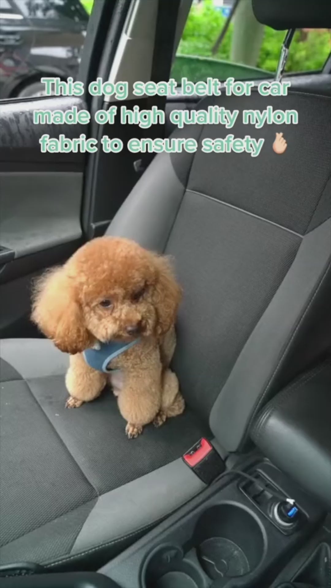 Adjustable Pet Car Seat Belt