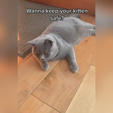 Safety Breakaway Cat Collar with AirTag Pocket