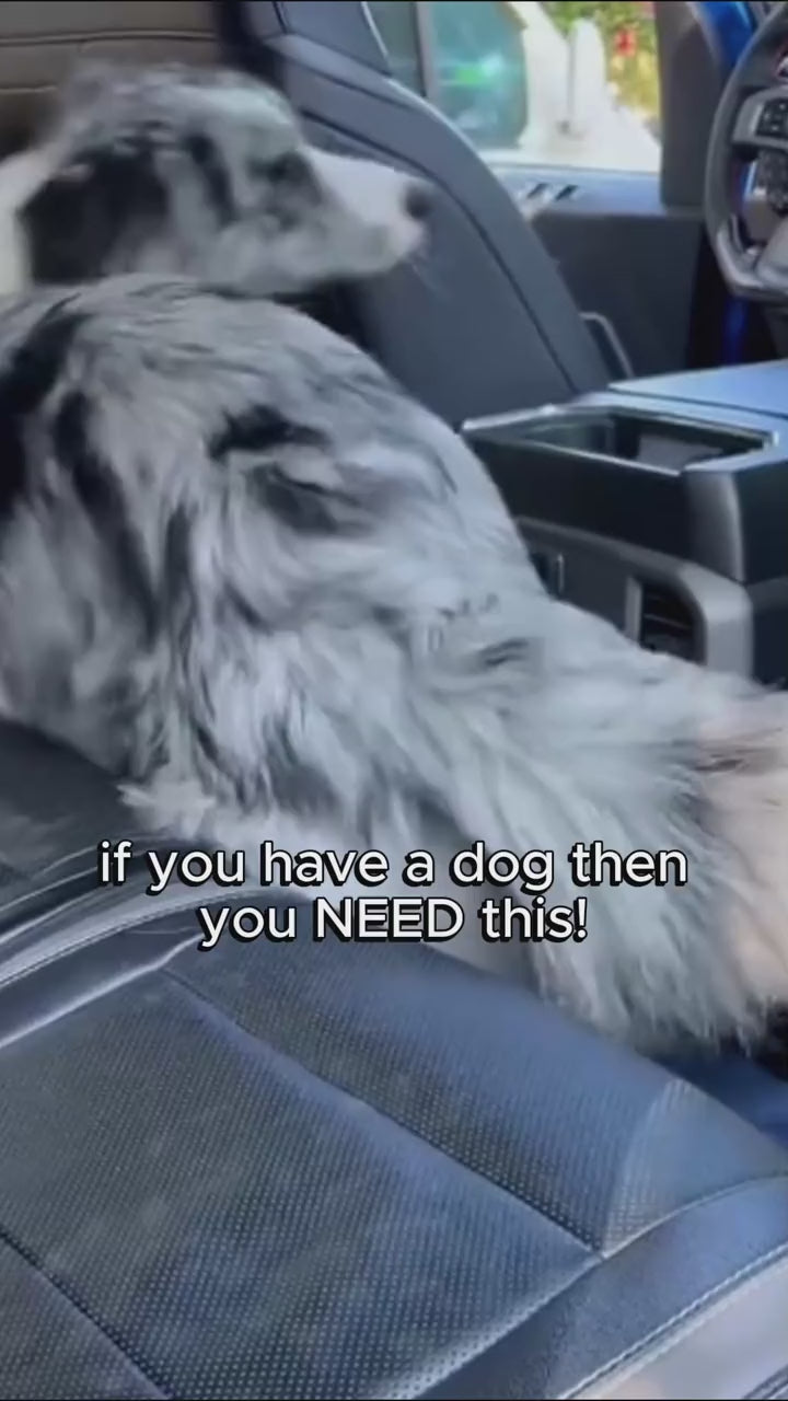 Back Seat Dog Hammock — Hard Base (400 lb)