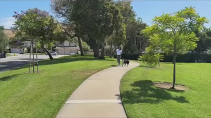 Hands-Free Dog Walking Belt with Bungee Leash