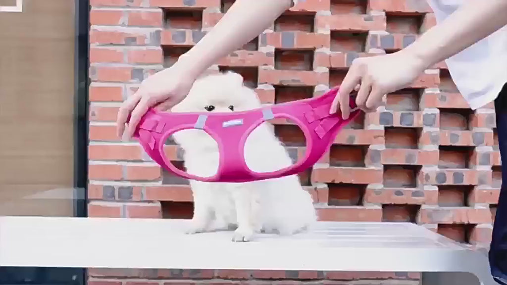 Escape-Proof Cat Vest Harness with Leash (S–XL)